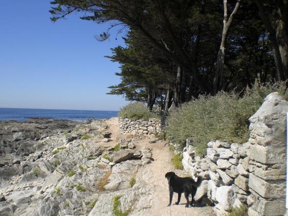 039 Zöllnerweg nach Piriac sur Mer