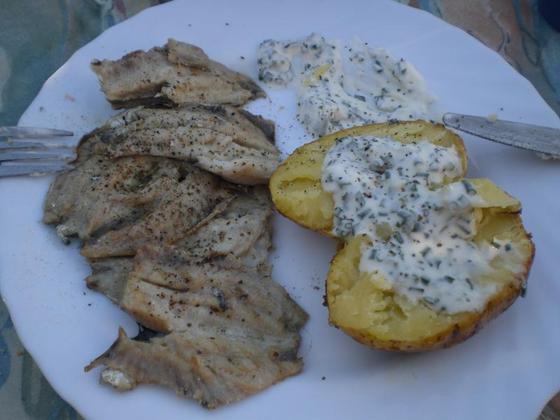 051 Gegrillte Sardinen